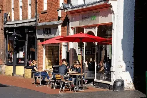 control-de-palomas-en-neogocios